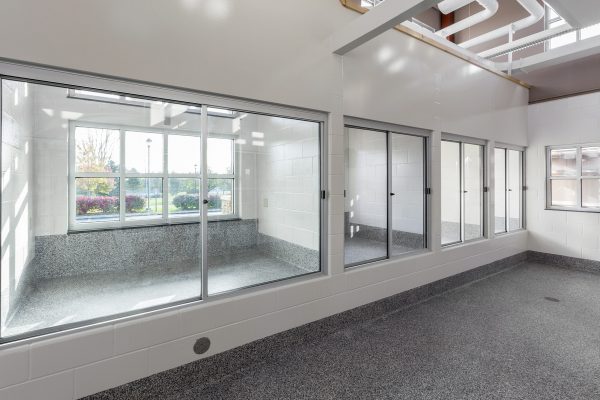 Glass windows to holding areas in animal shelter
